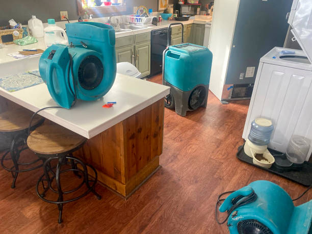 Best Sewage cleanup and water damage restoration  in The Villages, FL