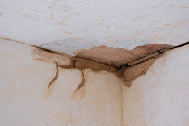 Best Water damage contractors near me  in The Villages, FL