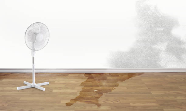 Best Water damage repair service  in The Villages, FL