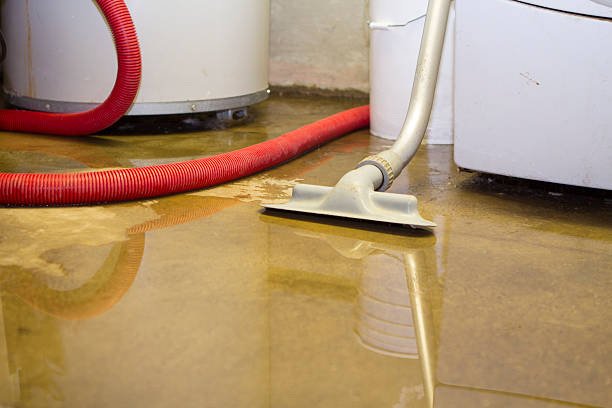 Best Water damage restoration cost  in The Villages, FL