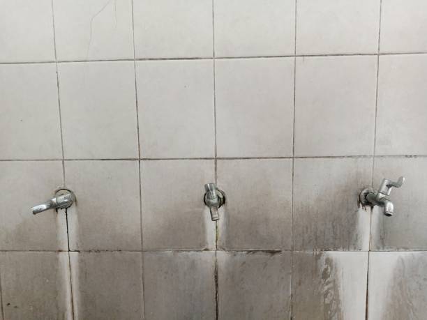  The Villages, FL Water damage restoration Pros