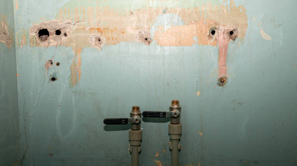 Best Fire Damage Restoration  in The Villages, FL
