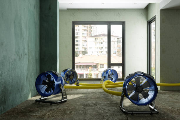 24/7 water damage repair in The Villages, FL